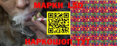 индика Ливны