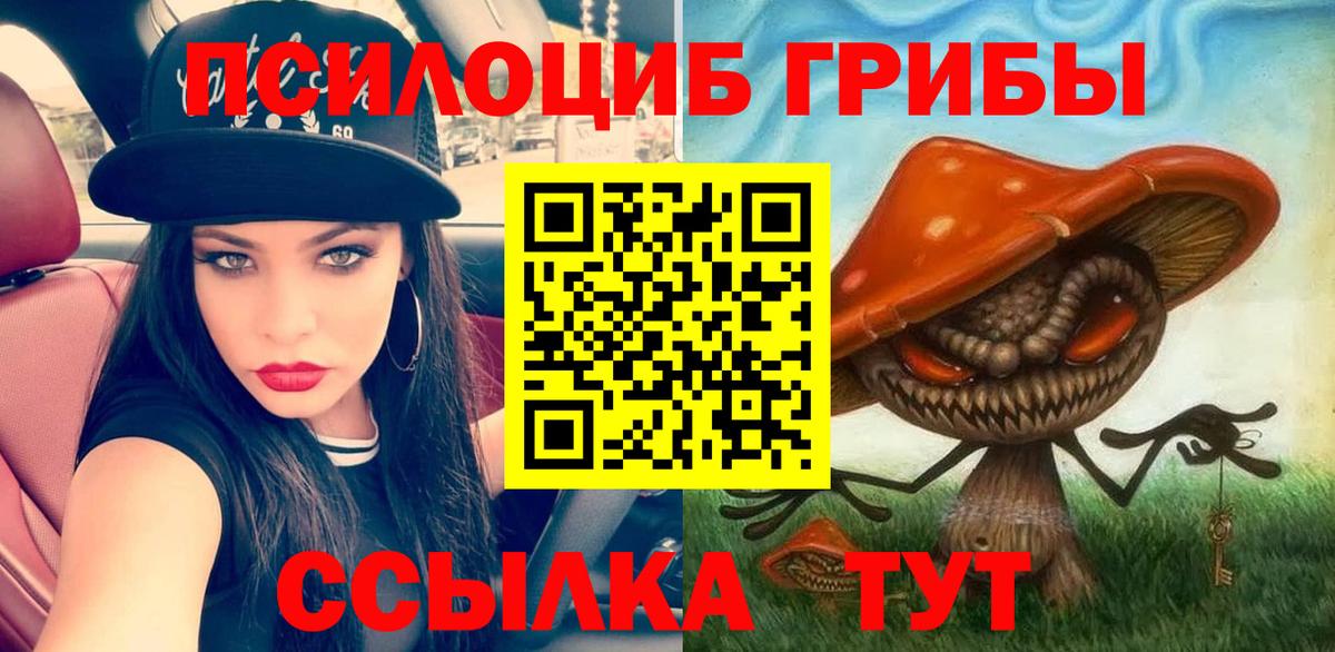 Псилоцибиновые грибы Psilocybe  Галлюциногенные грибы Cubensis  Вход с VPN  Зима 